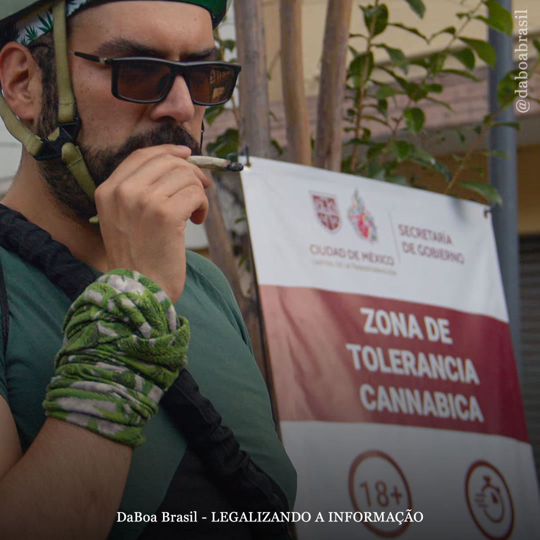 México: foram definidas três zonas de tolerância para o uso de maconha na Cidade do México