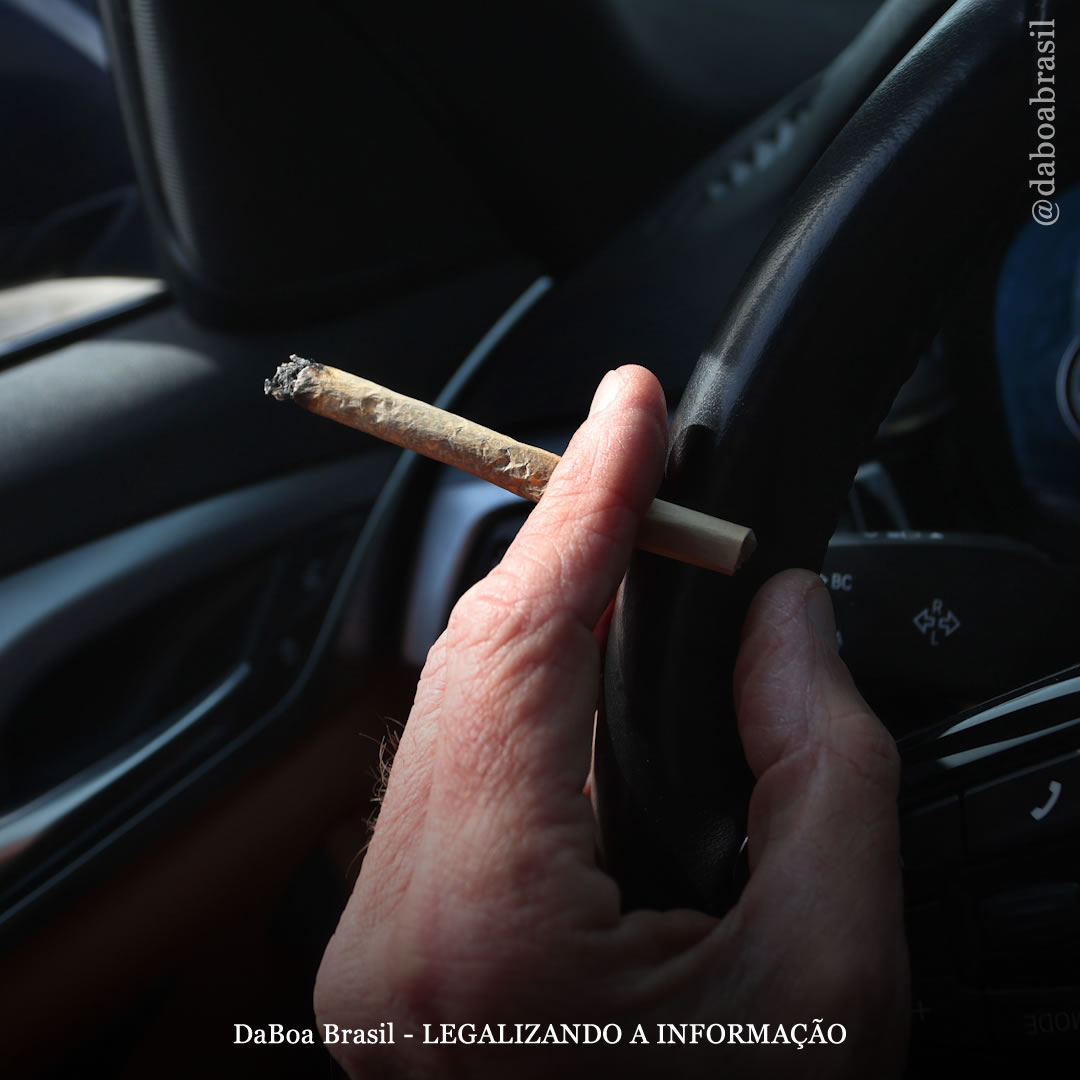 Não há evidências de efeitos residuais da maconha no desempenho ao dirigir, diz estudo