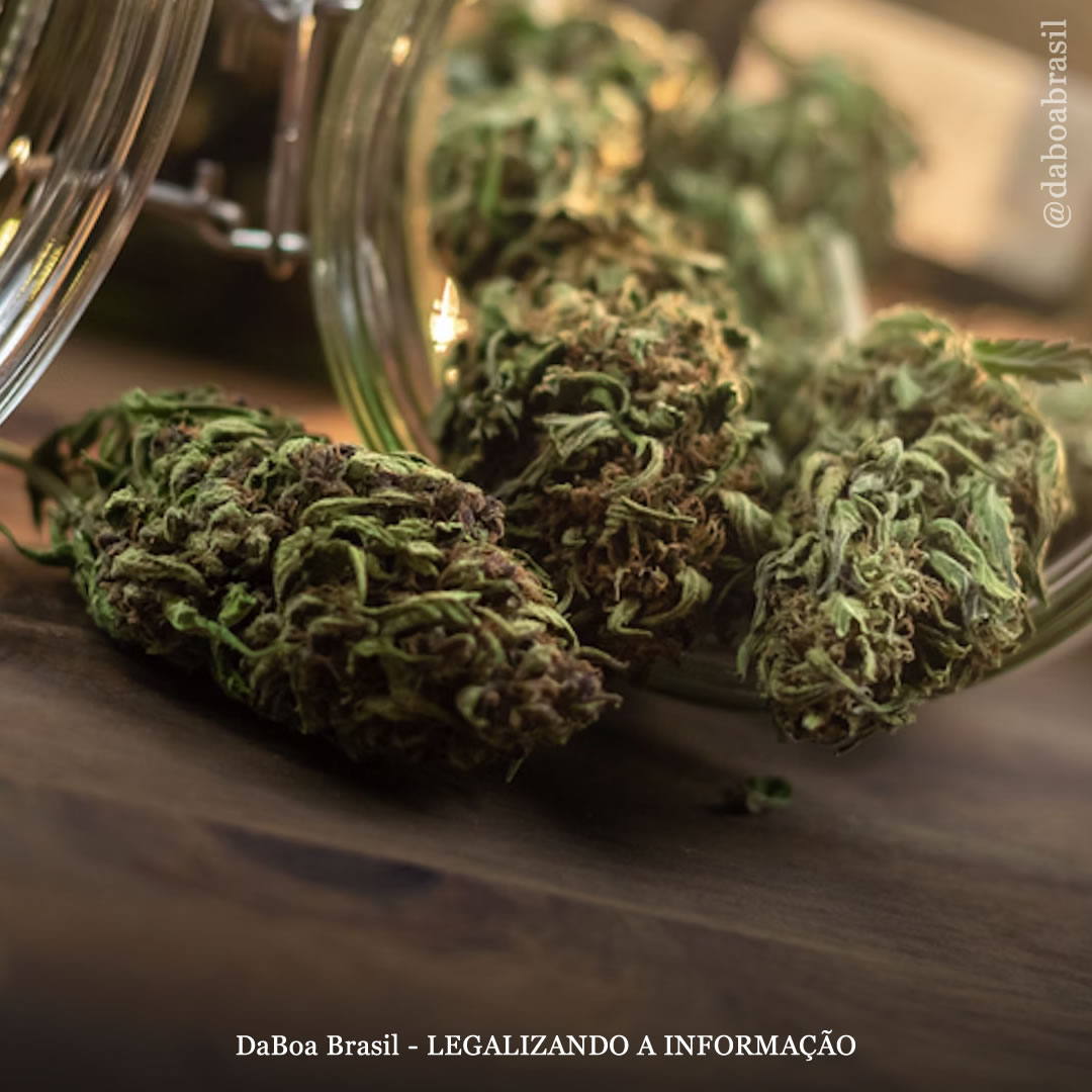 Pacientes com síndrome de dor regional complexa relatam melhora após uso de maconha, mostra estudo