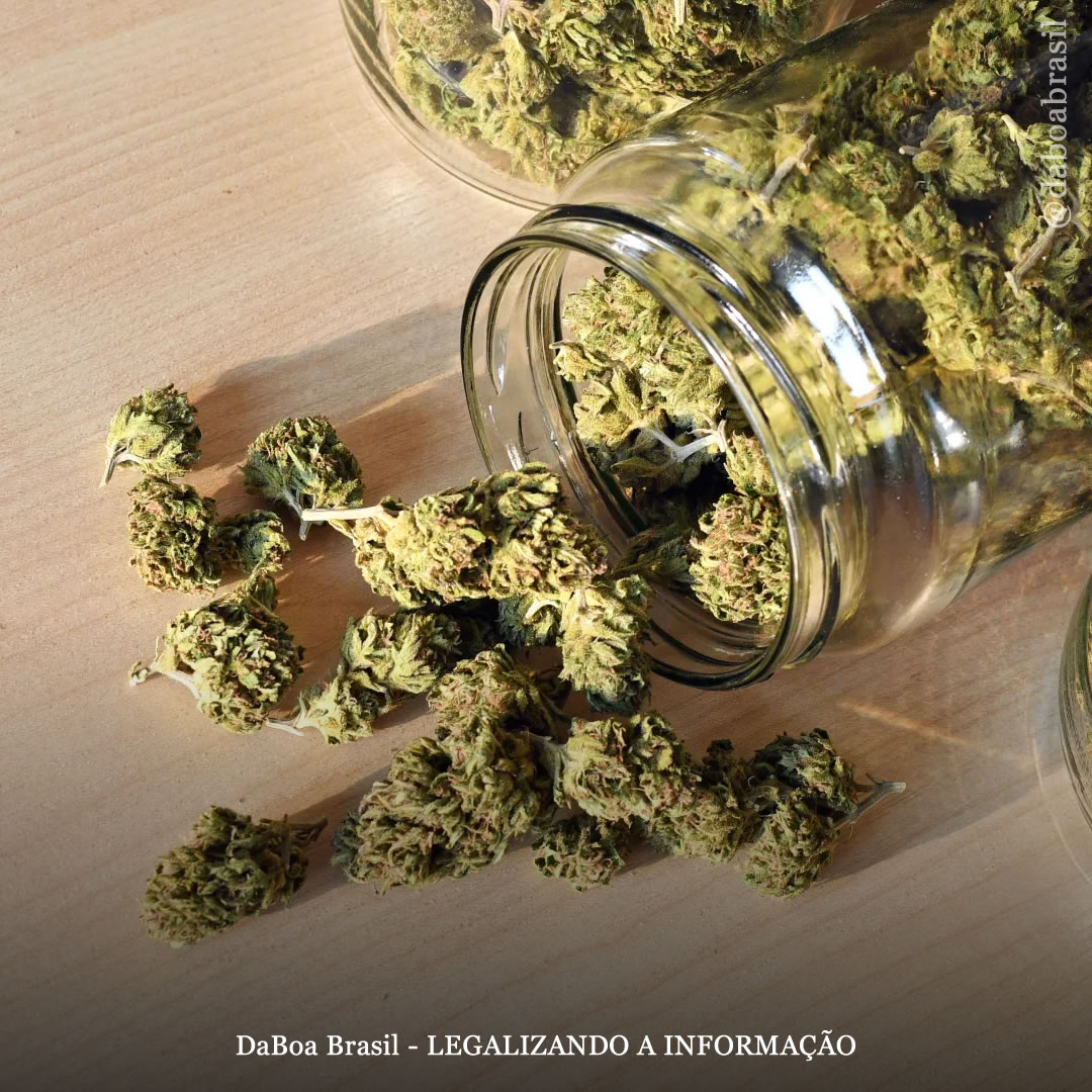 Pessoas com insônia relatam melhora na qualidade do sono após o uso de maconha, mostra análise