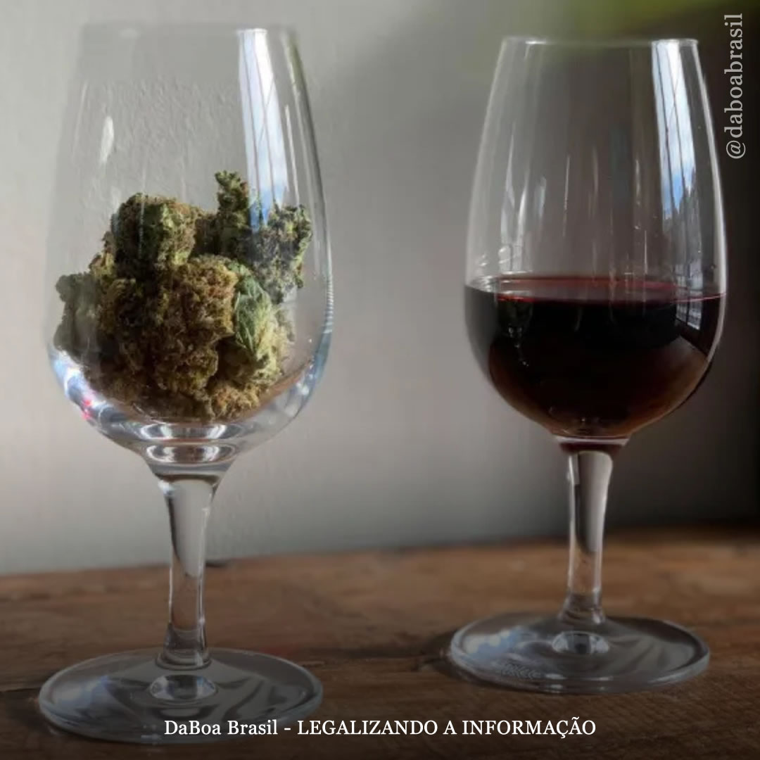 Usar maconha antes de beber resulta em consumo significativamente menor de álcool, diz estudo