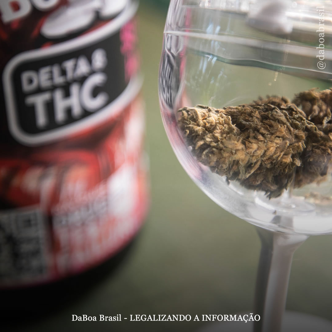 Usuários têm duas vezes mais probabilidade de usar produtos sintéticos delta-8 THC em lugares sem legalização do uso adulto da maconha, mostra análise