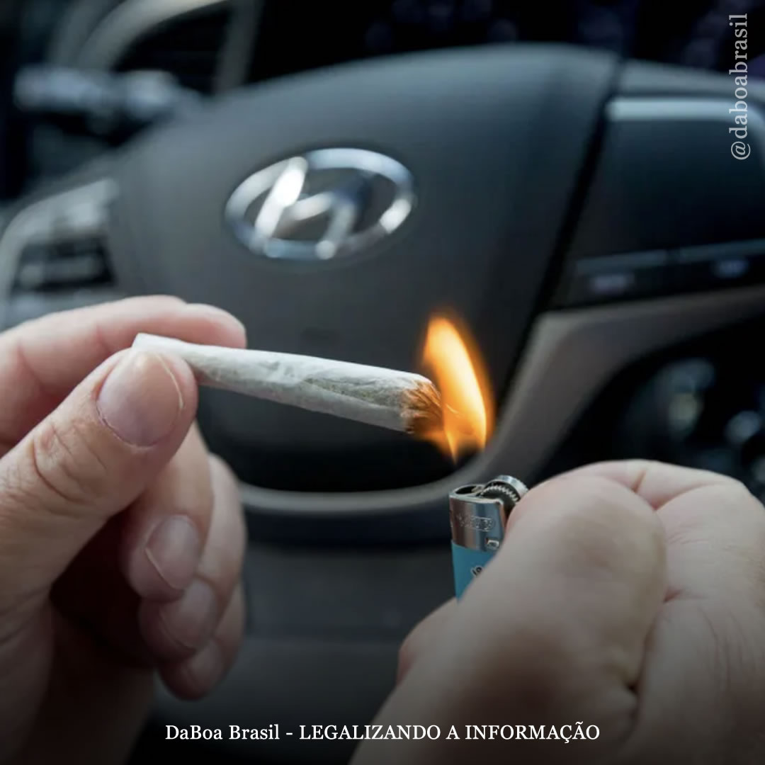 Polícia de Maryland (EUA) recebe número ‘impressionante’ de voluntários para fumar maconha e almoçar de graça em treinamento de direção sob efeito de drogas