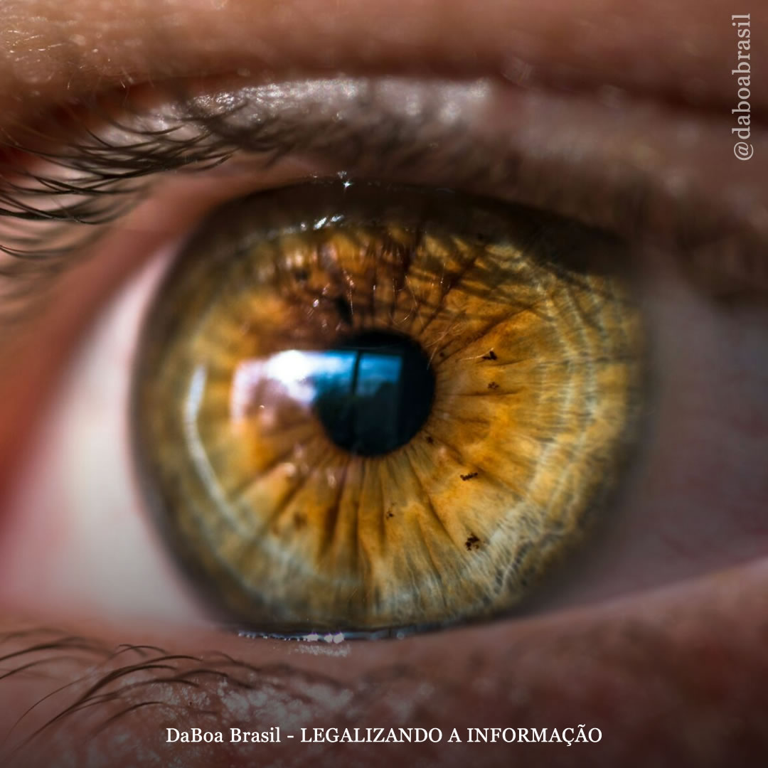 Tamanho da pupila não é preditivo de exposição aguda à maconha, mostra análise