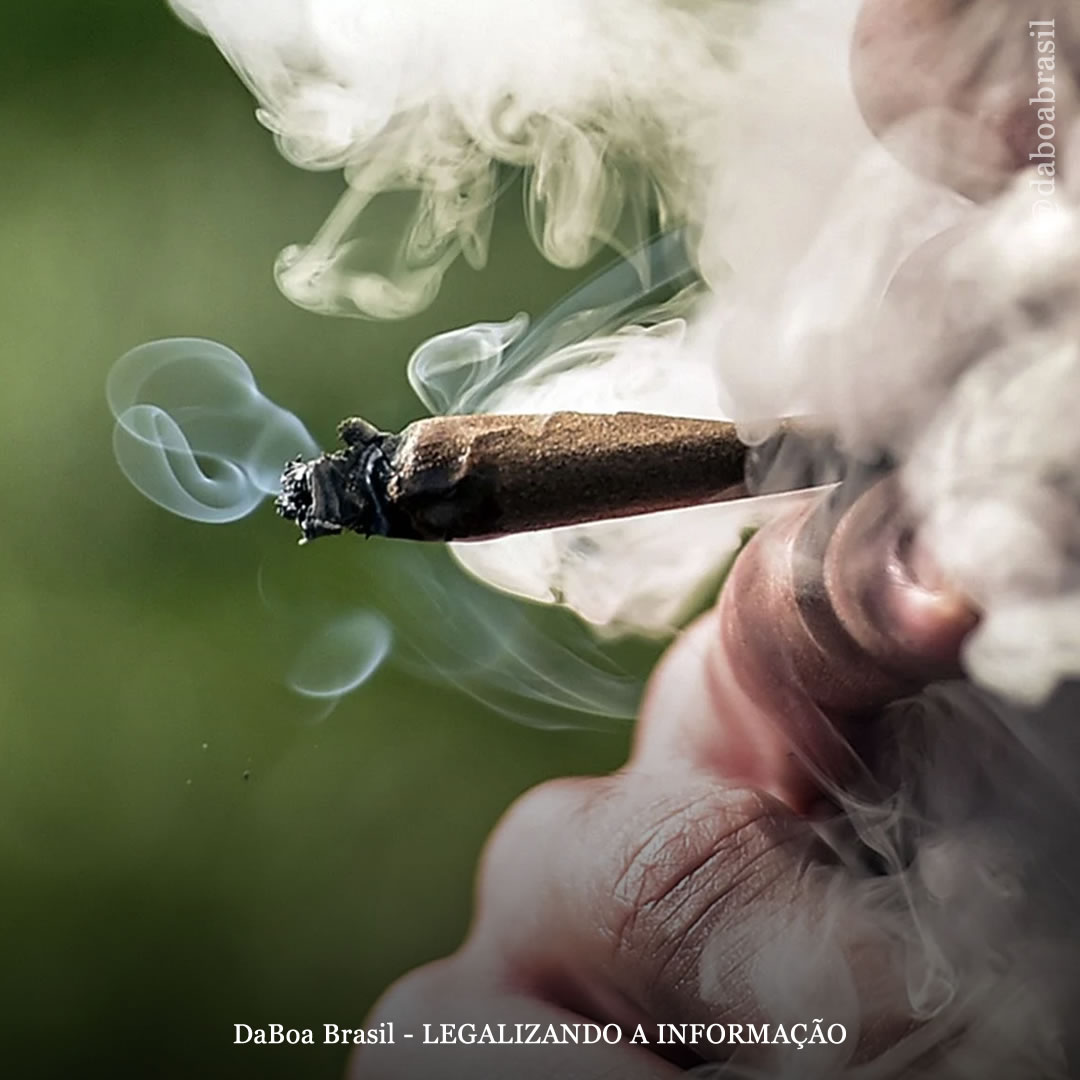 Uso de maconha está inversamente associado à rinite, diz estudo