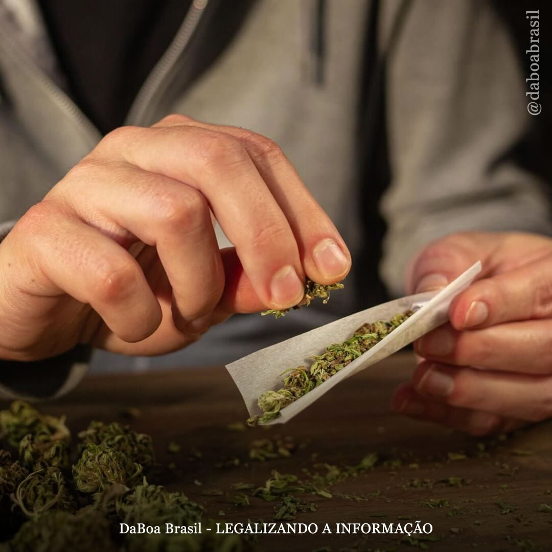 A maconha pode ajudar a reduzir o consumo de álcool, de acordo com estudo