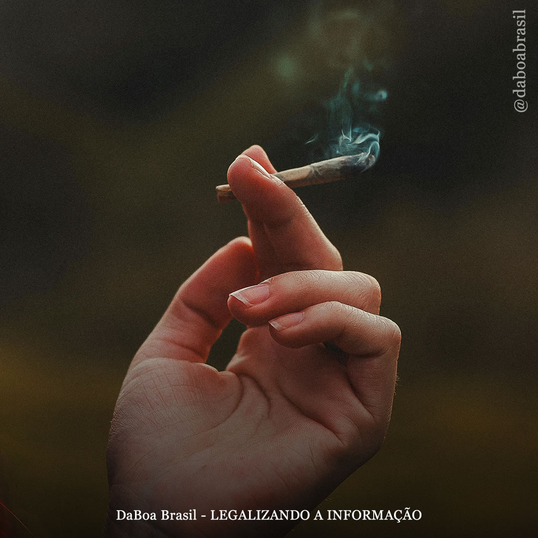 Canadá: menos jovens consomem maconha após a legalização do uso adulto, mostra estudo