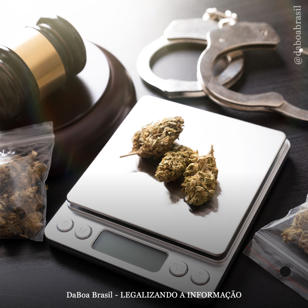 EUA: maconha lidera as prisões por drogas em estados onde a planta é proibida, a maioria por posse