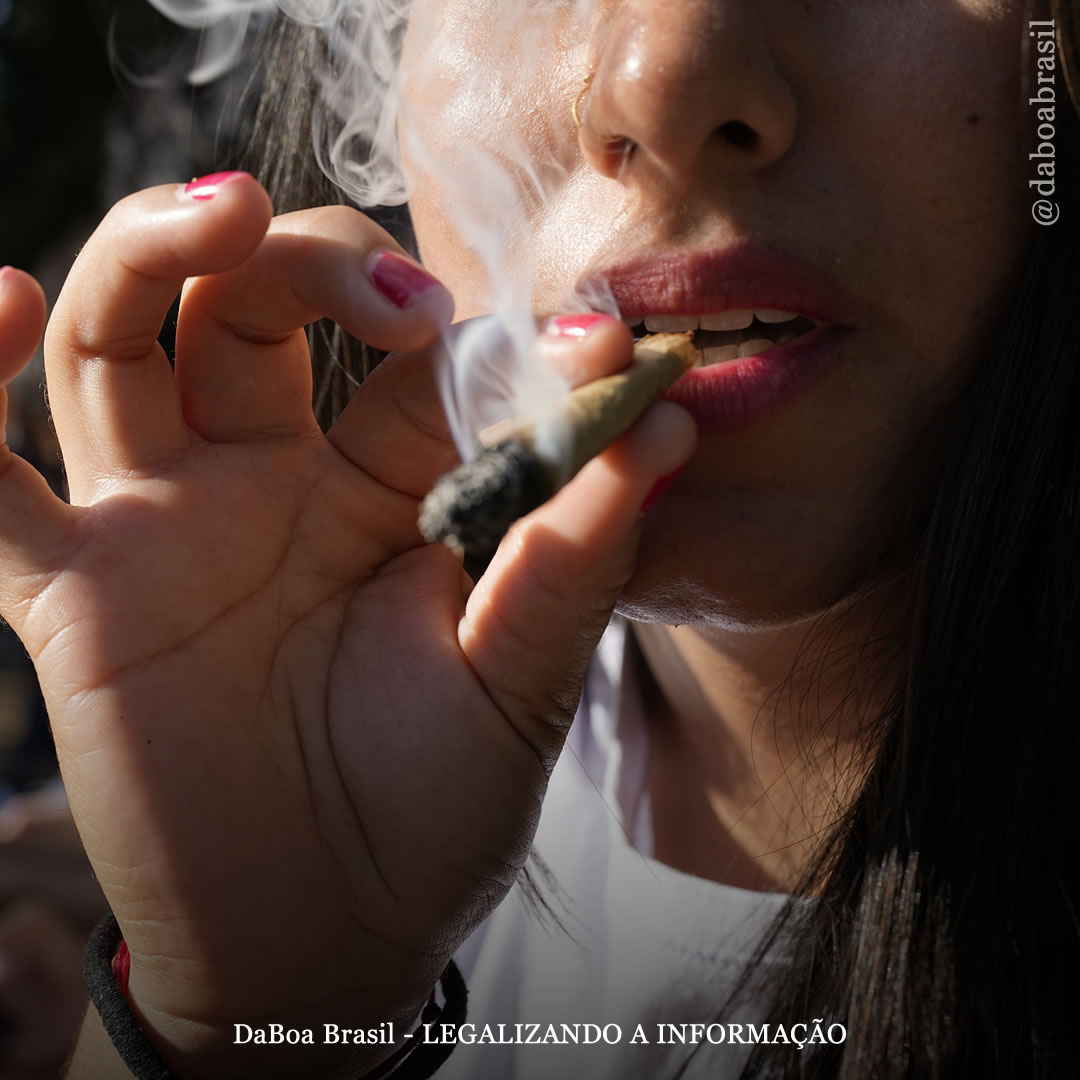 Redução de Danos: quanto tempo dura o efeito da maconha?