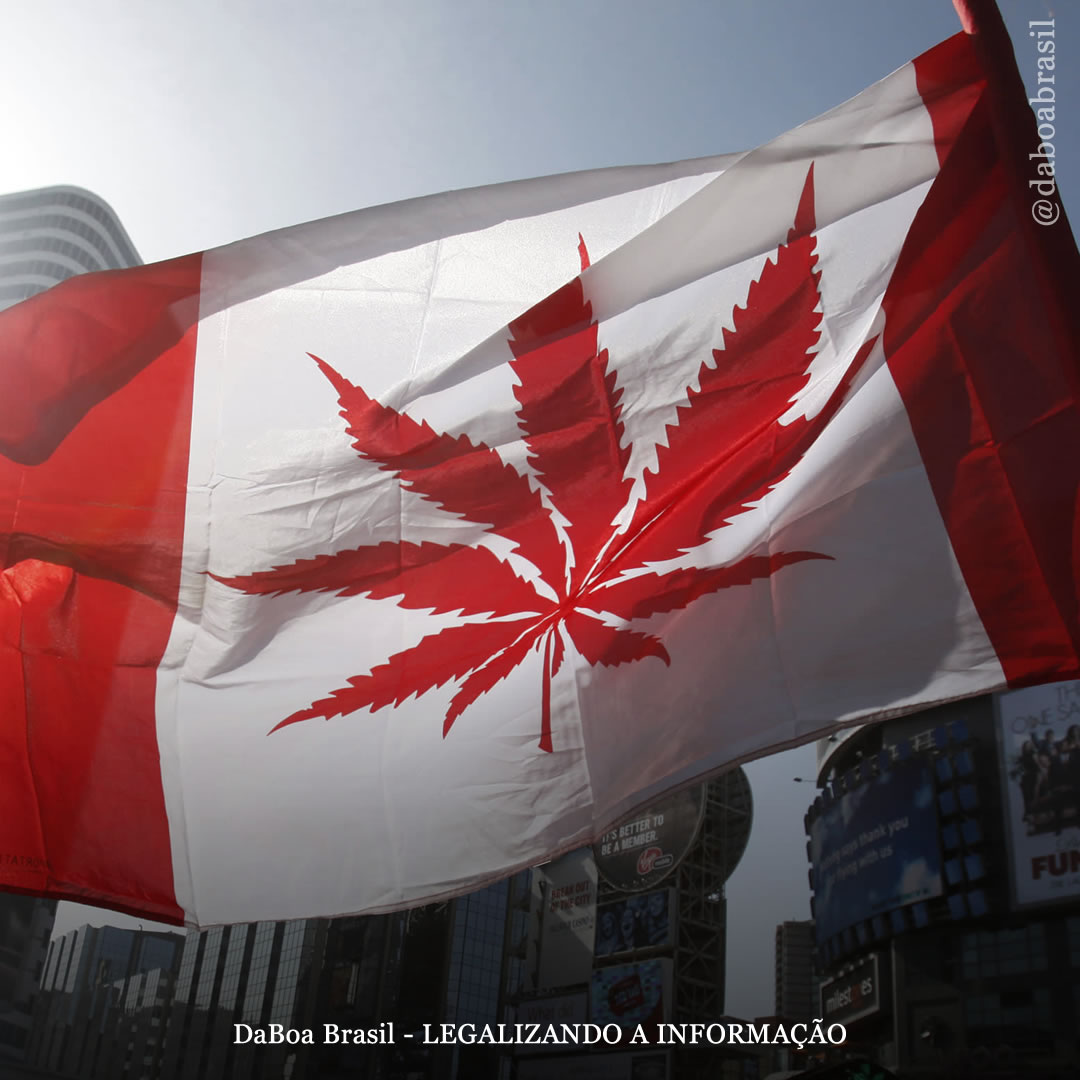 Canadá: impostos sobre a maconha legal ultrapassam 5,4 bilhões de dólares