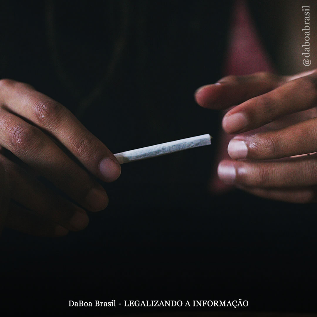 EUA: não houve aumento significativo no consumo de maconha por adultos após a legalização na Califórnia