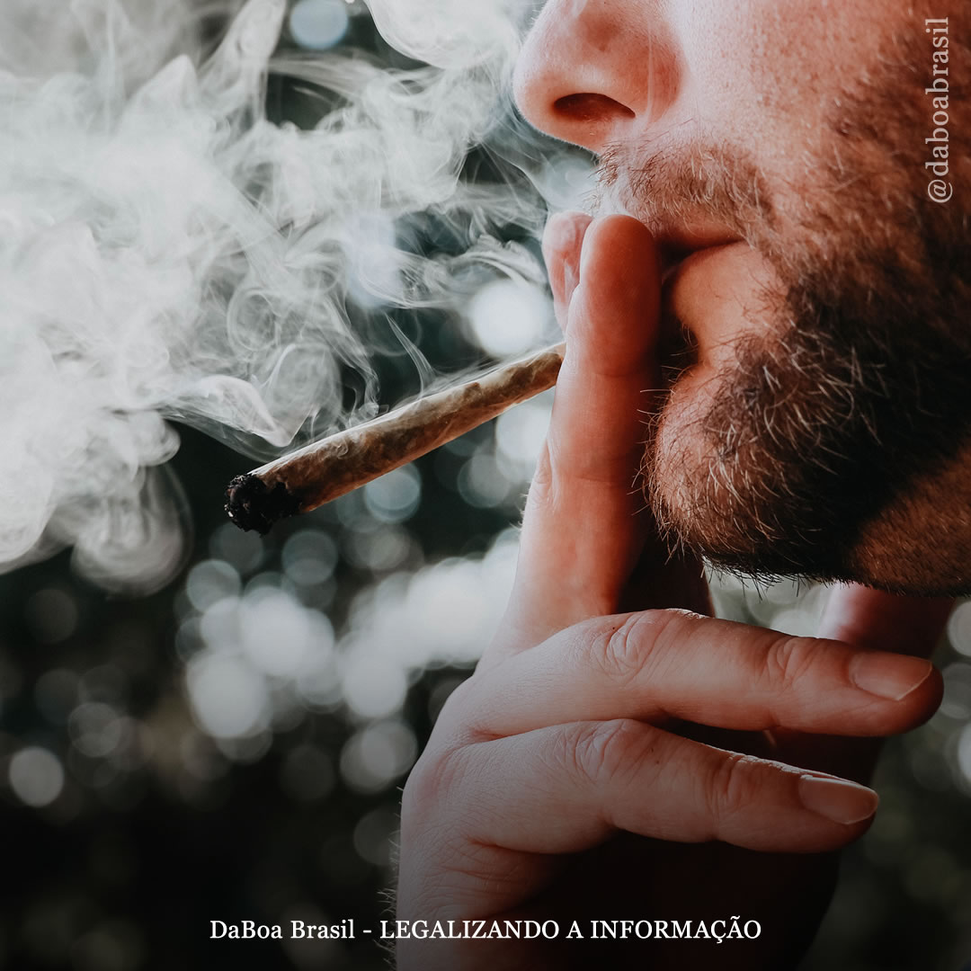 Histórico de uso de maconha não está associado a risco elevado de câncer de próstata, diz estudo