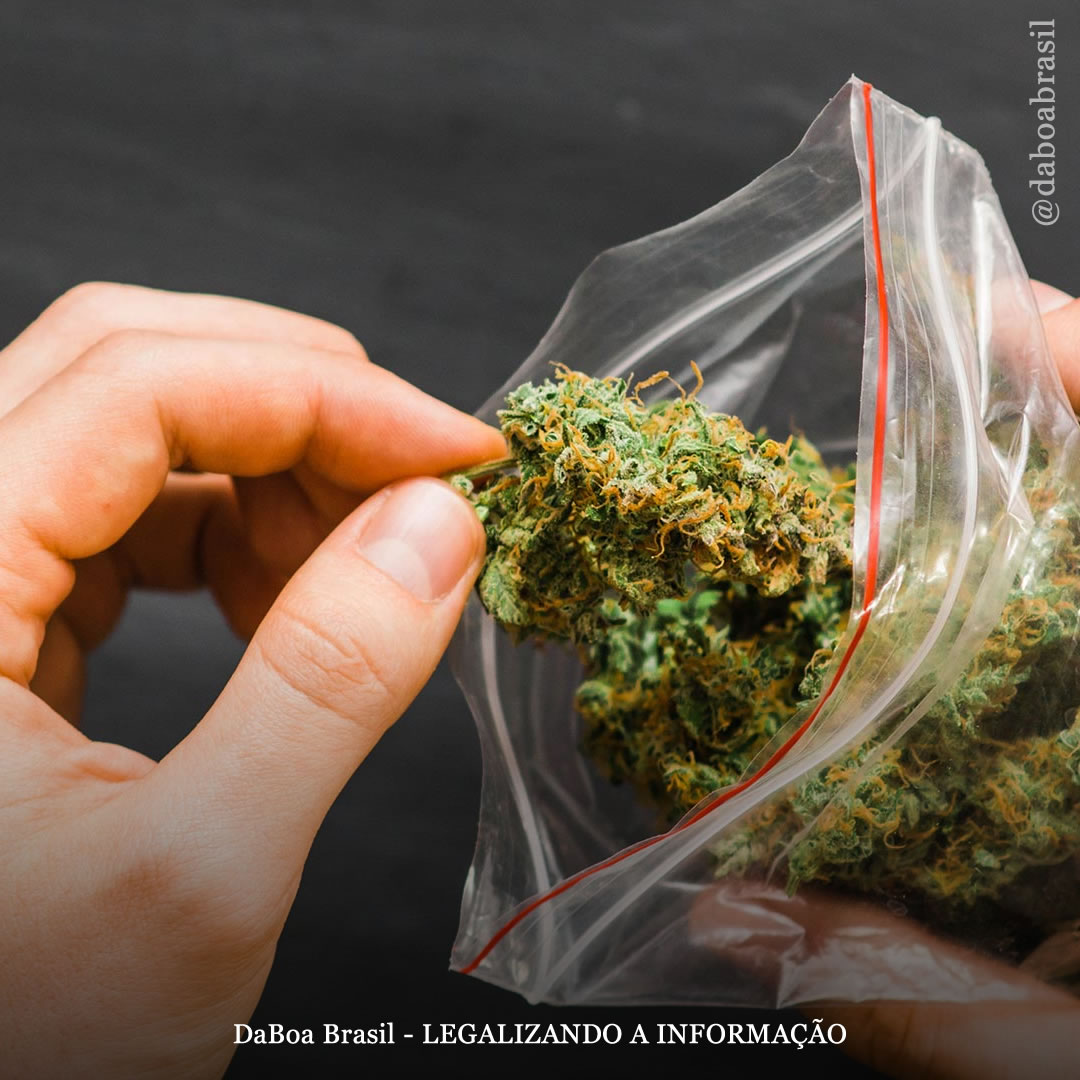 Uso de maconha não está associado a anormalidades cardíacas em pacientes com HIV, mostra análise