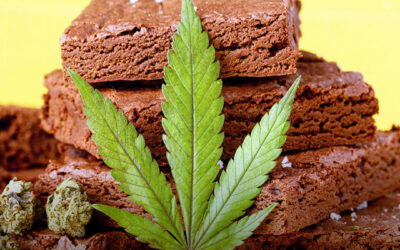 A “larica” relacionada à maconha é real e pode ajudar pessoas com AIDS e câncer, de acordo com estudo