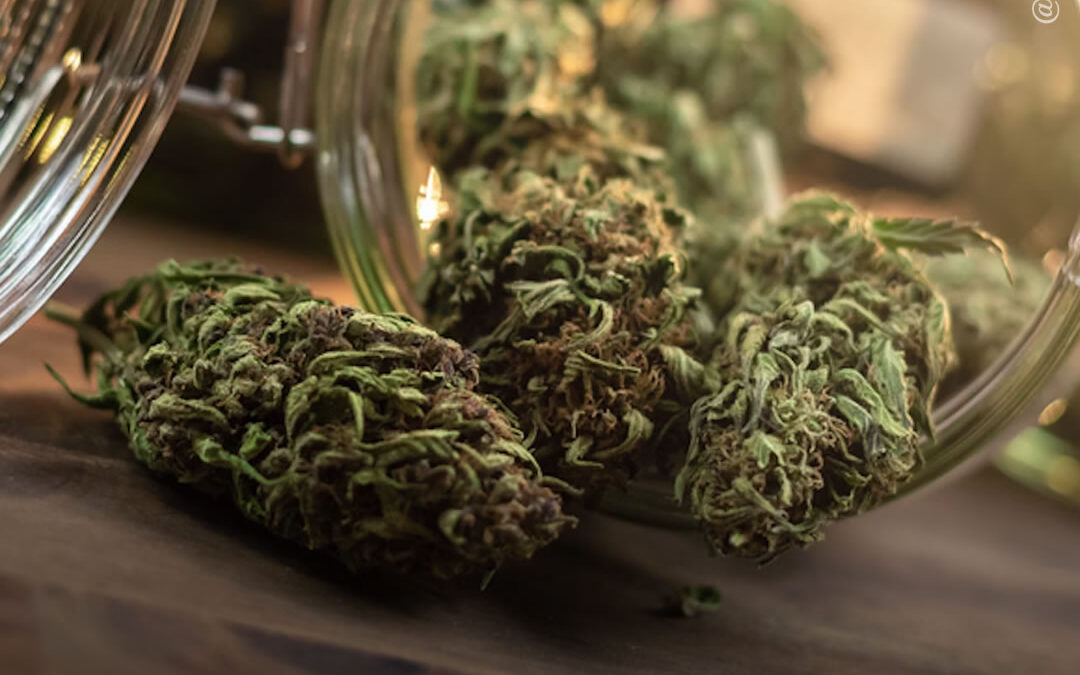 Acesso à maconha para uso adulto em lojas de varejo está associado à diminuição de suicídios entre idosos, mostra estudo