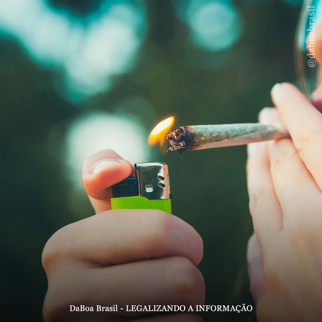 Os danos totais associados ao uso de álcool e tabaco superam em muito os riscos relacionados à maconha, mostra análise