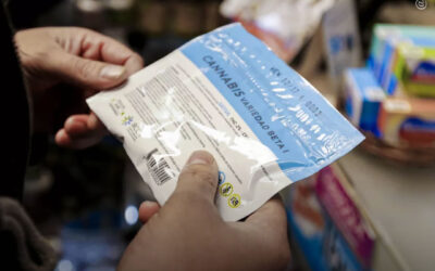 Uruguai bate recorde de vendas de maconha para uso adulto em 2025