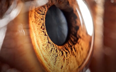 THC associado à redução significativa da pressão ocular, fator chave no tratamento do glaucoma, diz estudo