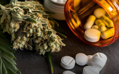 Uso de maconha está associado à redução do consumo de opioides em pessoas em abstinência, revela estudo