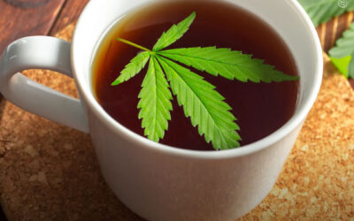 Beber chá com infusão de maconha aumenta a felicidade e melhora a qualidade do sono, mostra estudo