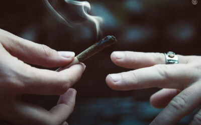 EUA: mais pessoas usam maconha diariamente ou quase diariamente do que cigarros ou álcool, mostram dados