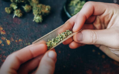 Legalização do uso adulto da maconha está ligada a menores taxas de falência pessoal, aponta estudo