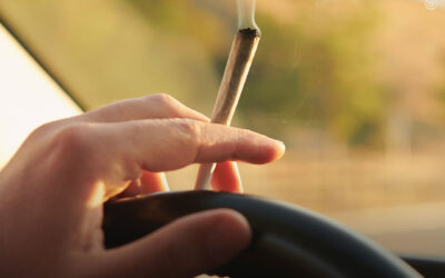 Maconha e álcool apresentam efeitos distintos no desempenho de direção no mundo real, mostra estudo
