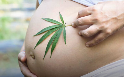 Mulheres em idade fértil consideram a maconha relativamente segura durante a gravidez, mostra estudo