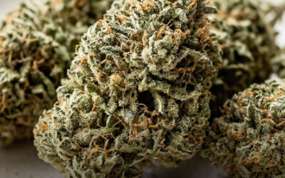 Canadá: legalização do uso adulto da maconha não aumentou as internações de jovens em hospitais, revela estudo