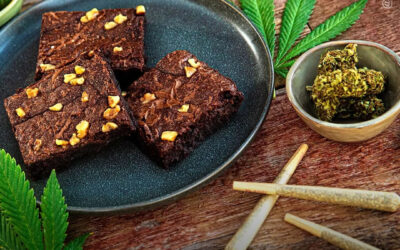 EUA: consumo de maconha entre adultos na Califórnia permaneceu praticamente estável após o início das vendas no varejo, enquanto o consumo de comestíveis aumentou, mostra estudo