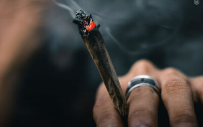 EUA: mais pessoas estão fumando maconha, enquanto o consumo de cigarros atinge o menor nível histórico, mostra pesquisa