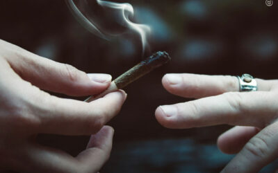 Homens e mulheres experimentam efeitos semelhantes ao fumar maconha, independentemente da potência do THC, revela estudo