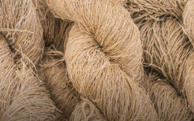 Pesquisadores desenvolvem processo microbiano que produz fibra de cannabis fiável em sete dias