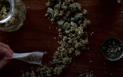 Uso de maconha não está ligado ao aumento de anormalidades na substância branca cerebral em pessoas com HIV, podendo reduzir a carga da doença, conclui estudo