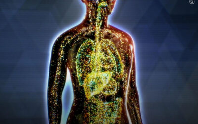 Estudo identifica mecanismo molecular por trás da tolerância aos canabinoides