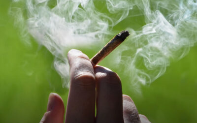 Testes de THC na saliva podem não detectar o uso recente de maconha, embora identifiquem usuários frequentes por quase uma semana, revela estudo