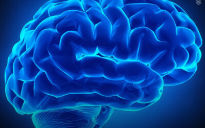 Estudo sobre esquizofrenia não encontra diferenças significativas na conectividade cerebral entre usuários e não usuários de maconha